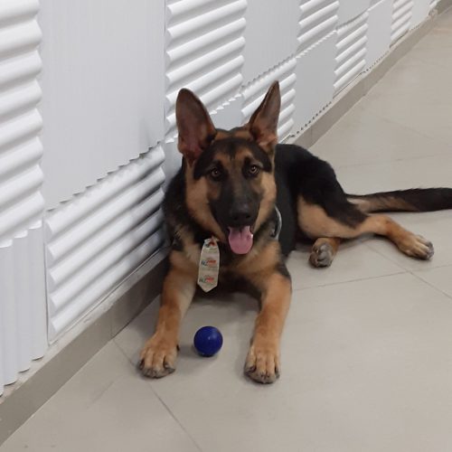 20241230_192248 (1).jpg