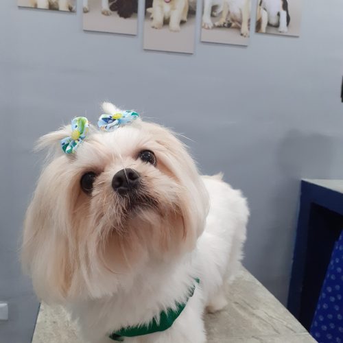 20250108_161912 (1).jpg