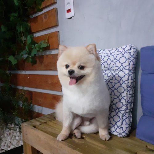 20250603_141759 (1).jpg