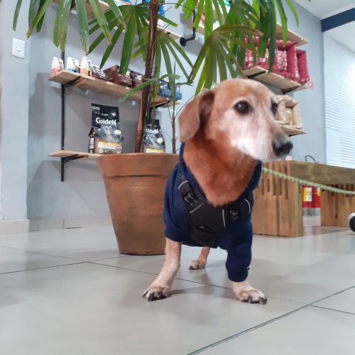 20250611_170013 (1).jpg