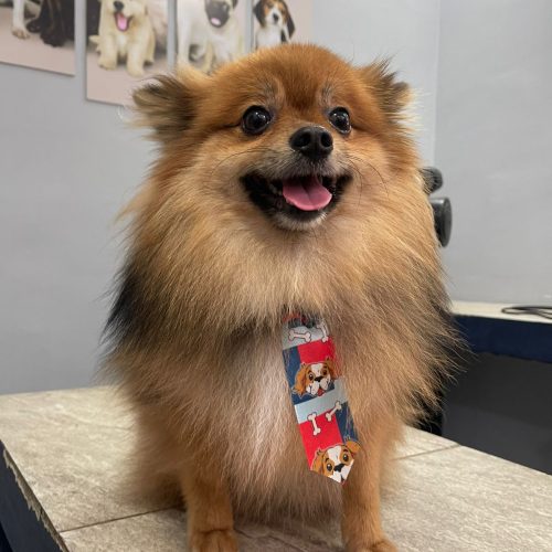 WhatsApp Image 2026-02-26 at 11.25.58 (1)