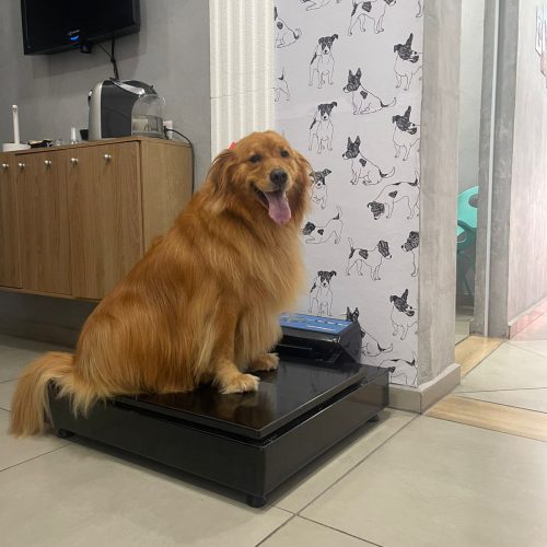 WhatsApp Image 2026-02-26 at 11.25.58