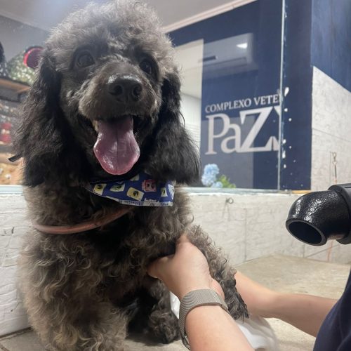 WhatsApp Image 2026-02-26 at 11.25.59