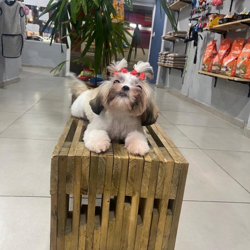 WhatsApp Image 2026-02-26 at 11.26.25