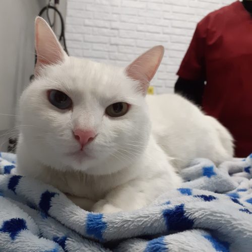 WhatsApp Image 2026-02-26 at 11.26.39