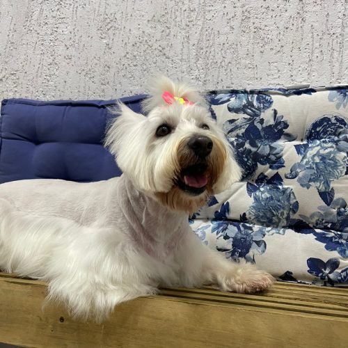 WhatsApp Image 2026-02-26 at 11.27.49