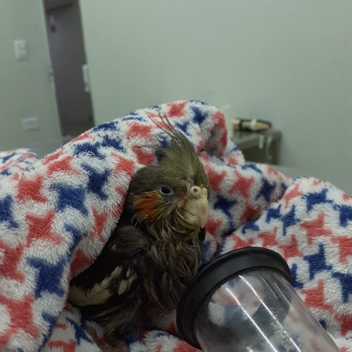 WhatsApp Image 2026-02-26 at 11.28.24